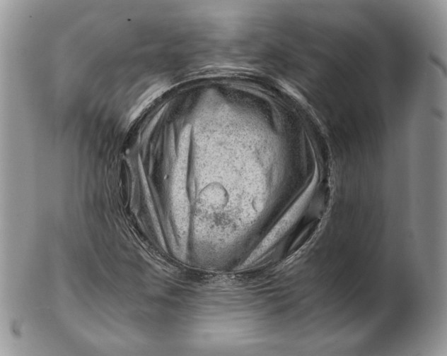 X0000101961259200808011100