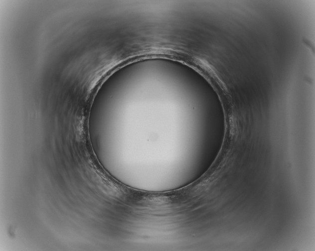 X0000101961260200808011100