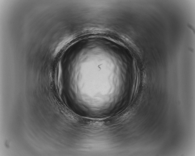 X0000101961261200808011100