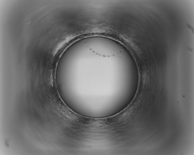 X0000101961262200808011100