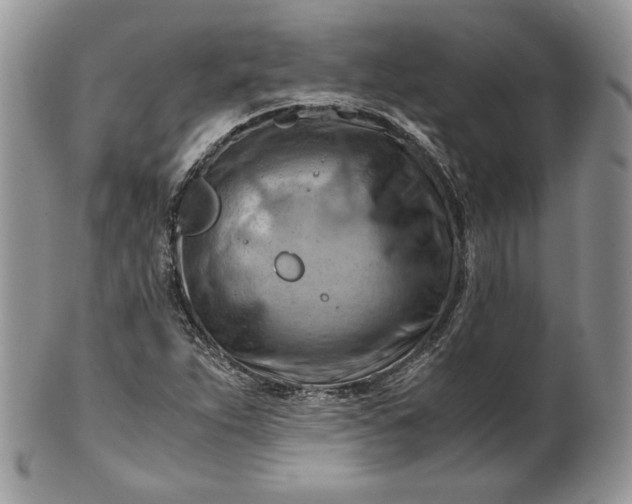 X0000101961263200808011100