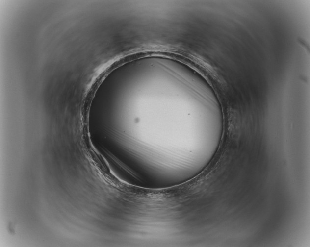 X0000101961264200808011100