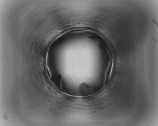 X0000101961265200808011100