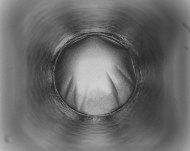 X0000101961266200808011100