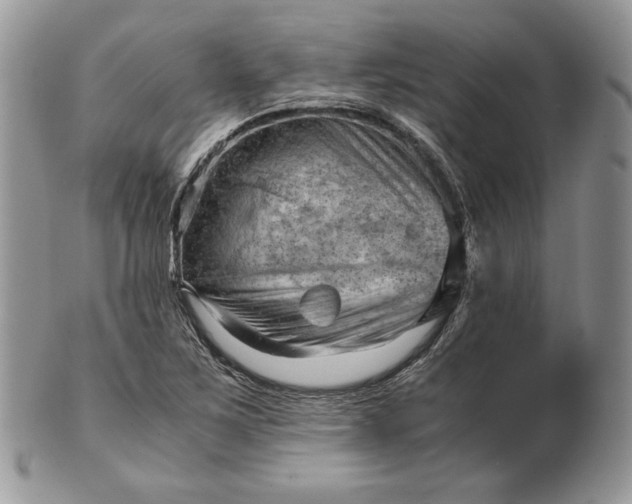 X0000101961267200808011100