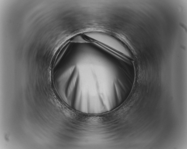 X0000101961268200808011100