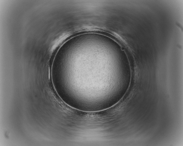 X0000101961269200808011100