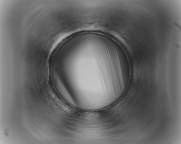 X0000101961270200808011100