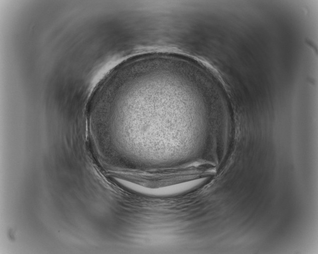 X0000101961271200808011100