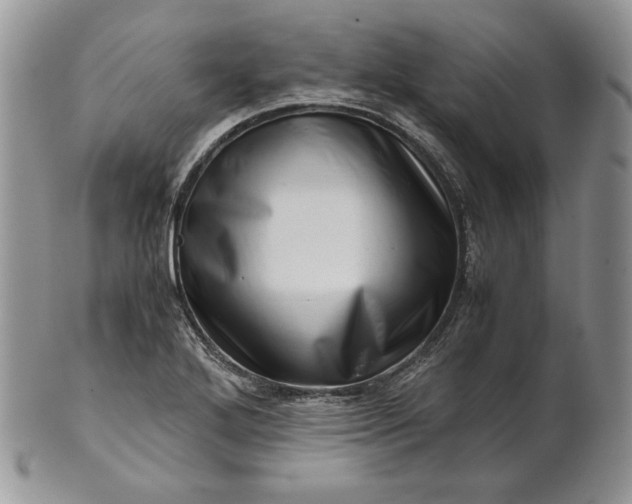 X0000101961272200808011100