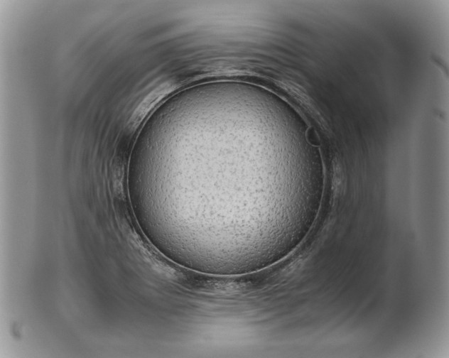 X0000101961273200808011100