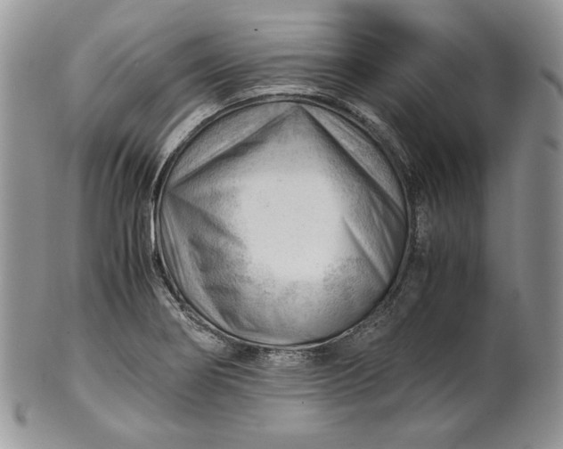 X0000101961274200808011100