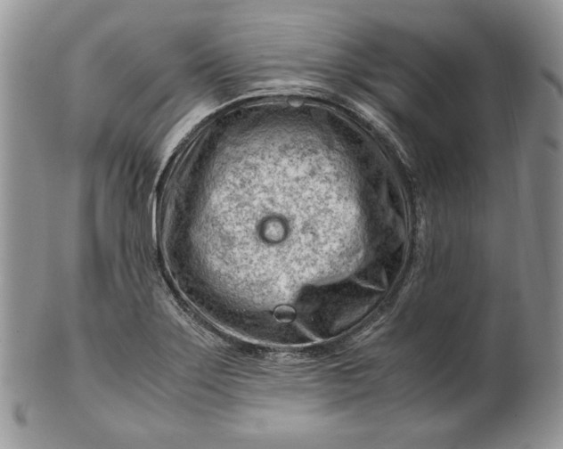 X0000101961275200808011100