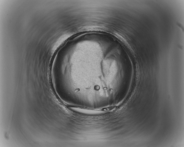 X0000101961277200808011100