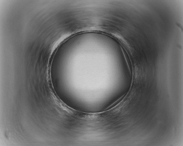 X0000101961278200808011100