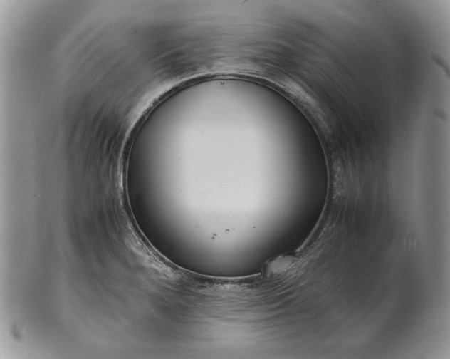 X0000101961280200808011059