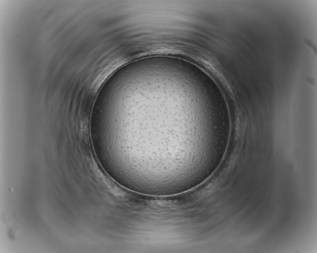 X0000101961281200808011059