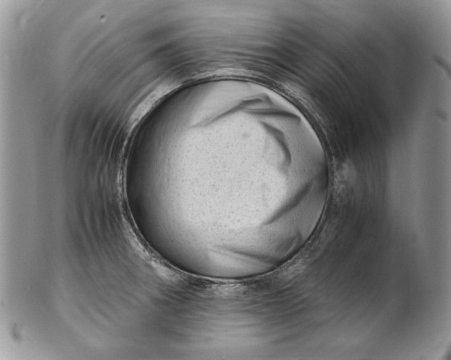 X0000101961282200808011059