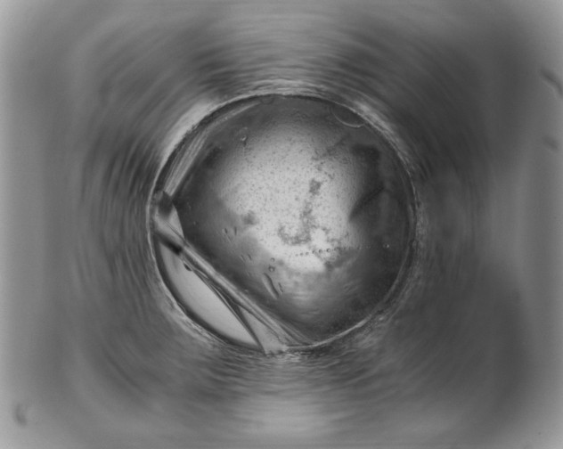 X0000101961283200808011059