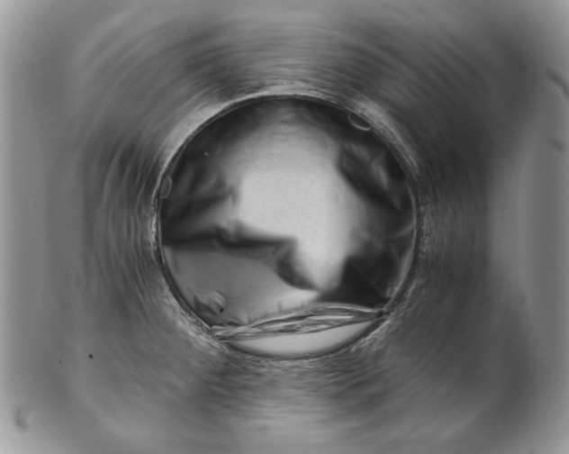 X0000101961284200808011059