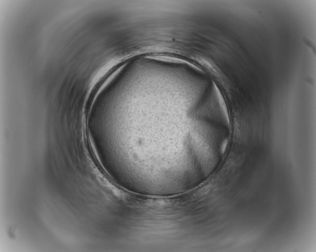 X0000101961286200808011059