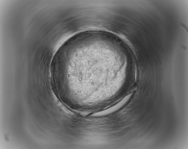 X0000101961287200808011059