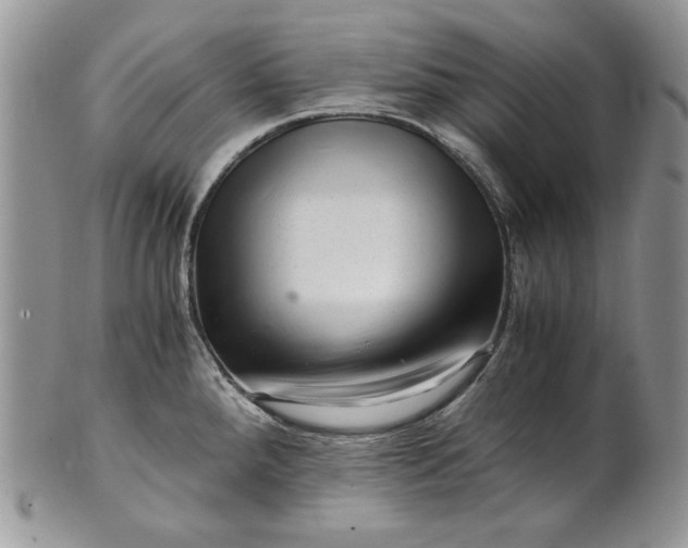 X0000101961288200808011059