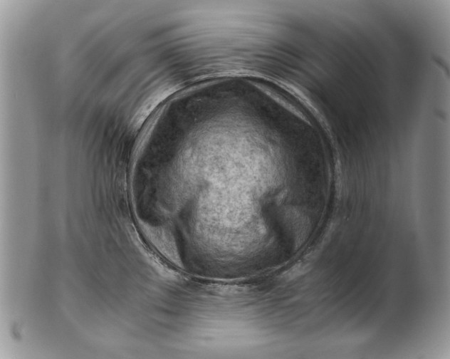 X0000101961289200808011059