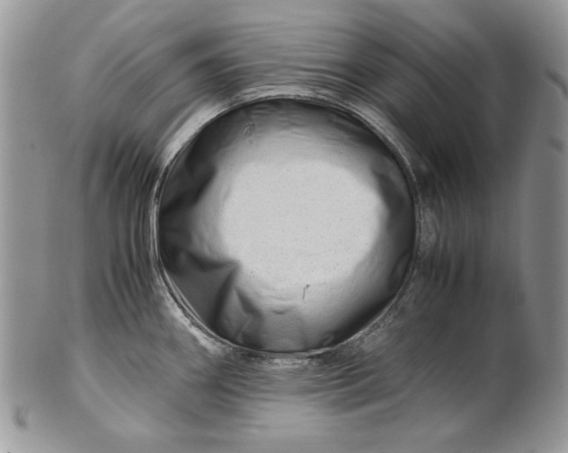 X0000101961290200808011059