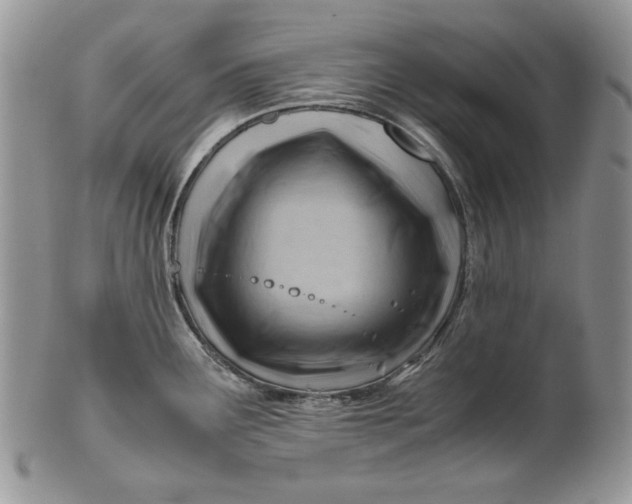 X0000101961291200808011059