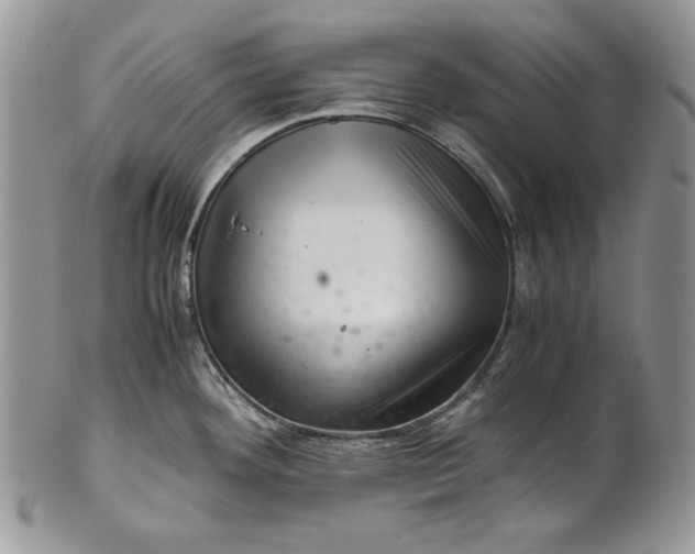 X0000101961292200808011059