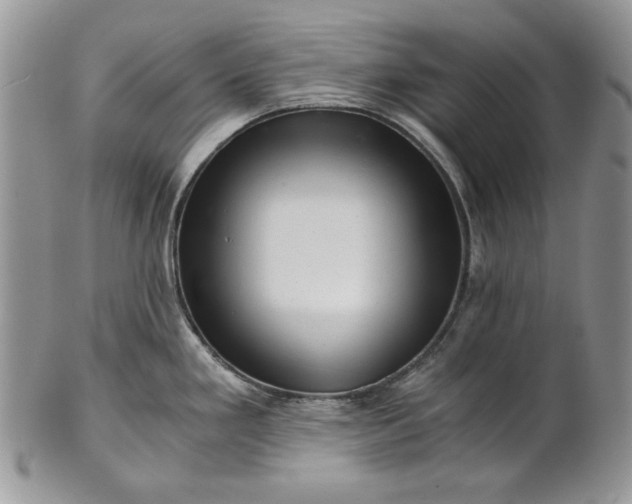 X0000101961293200808011059