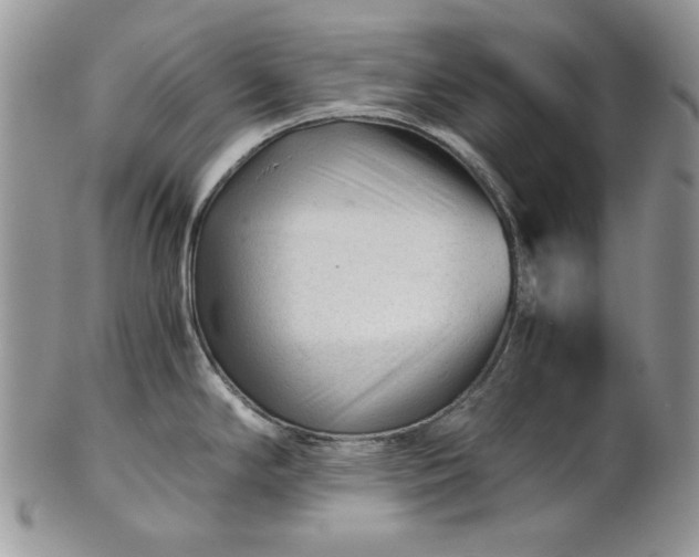 X0000101961294200808011059