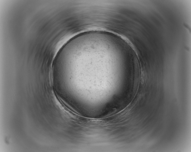 X0000101961295200808011059