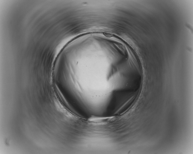 X0000101961296200808011059