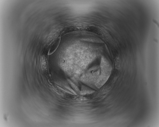 X0000101961298200808011059