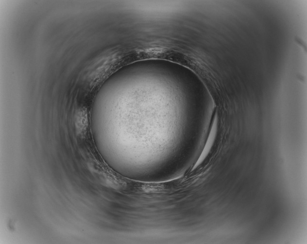 X0000101961299200808011059