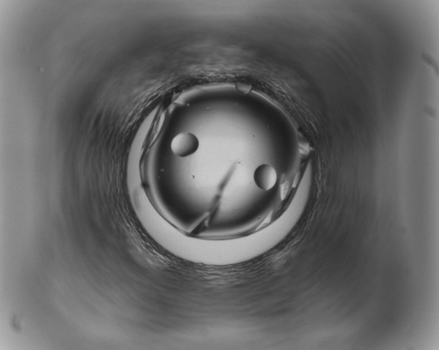 X0000101961300200808011059