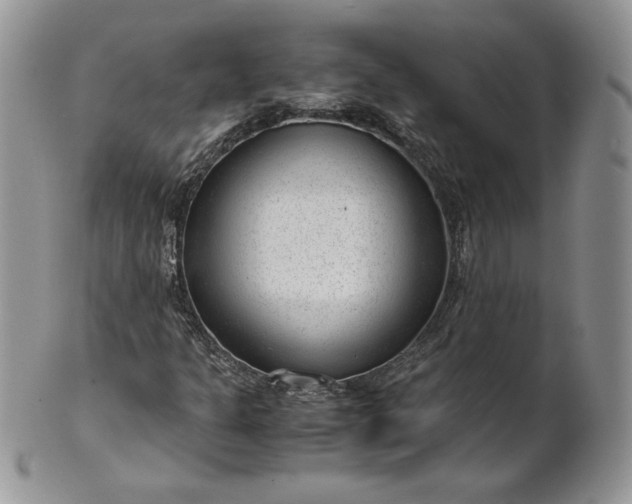 X0000101961301200808011059