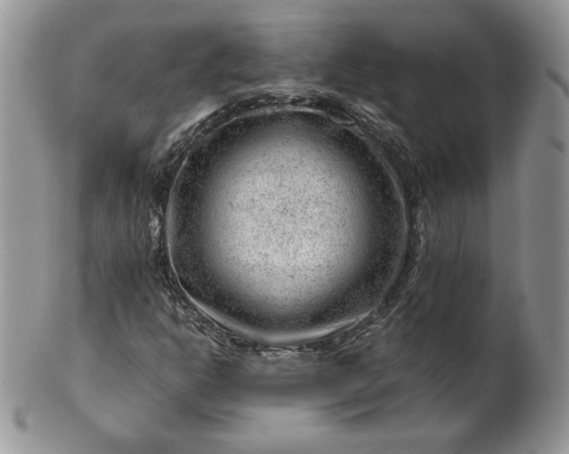 X0000101961302200808011059