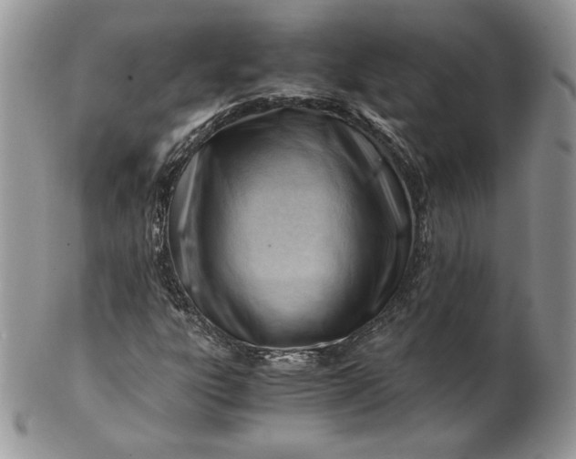 X0000101961303200808011059