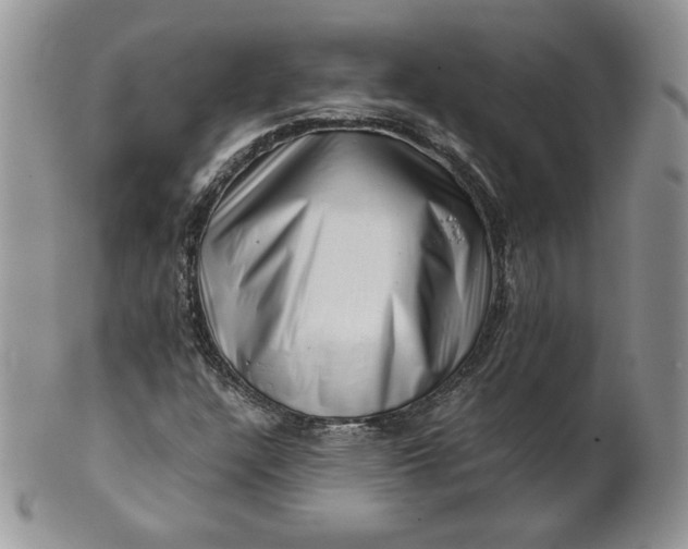 X0000101961304200808011059