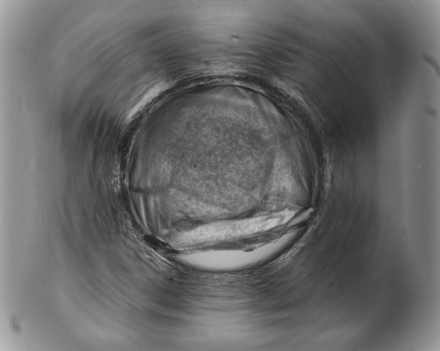 X0000101961306200808011059