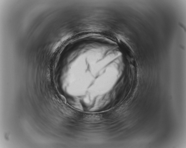 X0000101961307200808011059