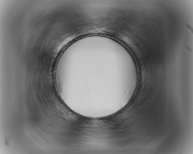 X0000101961308200808011059