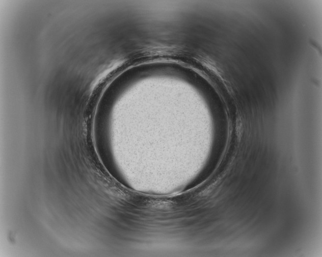 X0000101961309200808011059