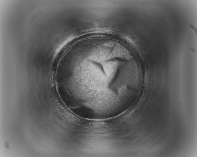 X0000101961310200808011059