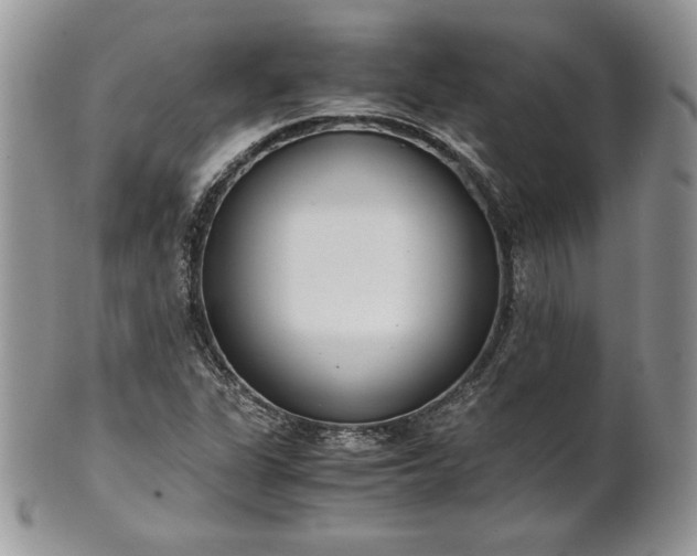 X0000101961311200808011059