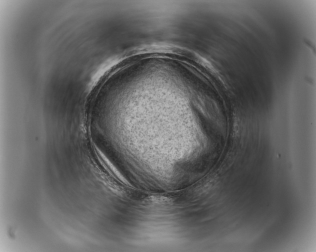 X0000101961312200808011059