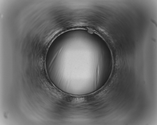 X0000101961313200808011059